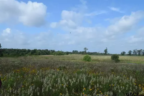 tbd Fm 1256, Eustace, TX 75124 photo 31
