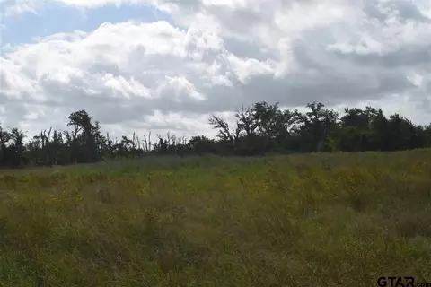 tbd Fm 1256, Eustace, TX 75124 photo 41