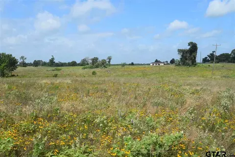 tbd Fm 1256, Eustace, TX 75124 photo 5