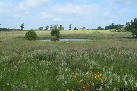 tbd Fm 1256, Eustace, TX 75124 photo 32