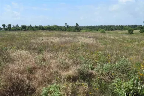 tbd Fm 1256, Eustace, TX 75124 photo 26