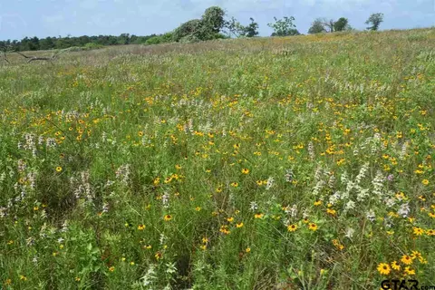tbd Fm 1256, Eustace, TX 75124 photo 23