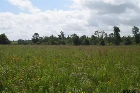 tbd Fm 1256, Eustace, TX 75124 photo 19