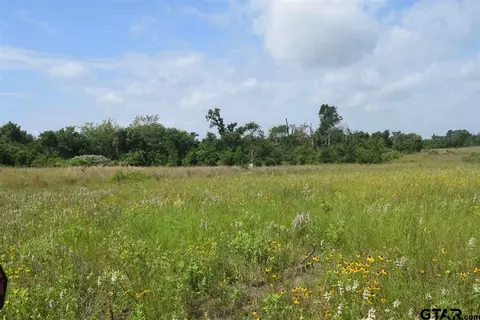 tbd Fm 1256, Eustace, TX 75124 photo 9