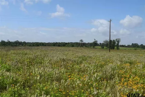 tbd Fm 1256, Eustace, TX 75124 photo 15