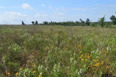 tbd Fm 1256, Eustace, TX 75124 photo 24