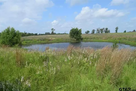 tbd Fm 1256, Eustace, TX 75124 photo 11