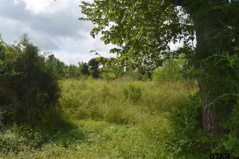 tbd Fm 1256, Eustace, TX 75124 photo 43