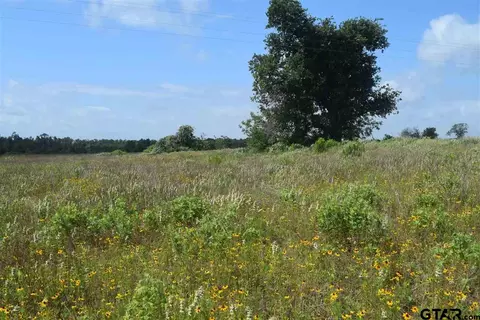 tbd Fm 1256, Eustace, TX 75124 photo 21