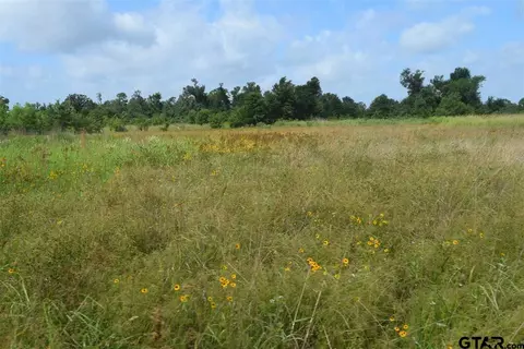 tbd Fm 1256, Eustace, TX 75124 photo 39