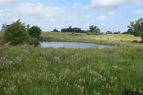 tbd Fm 1256, Eustace, TX 75124 photo 34