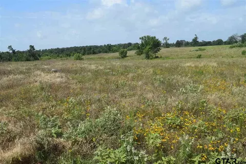 tbd Fm 1256, Eustace, TX 75124 photo 4