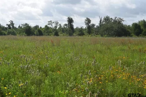 tbd Fm 1256, Eustace, TX 75124 photo 18