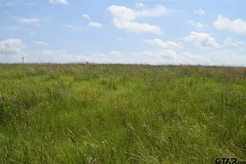 tbd Fm 1256, Eustace, TX 75124 photo 12