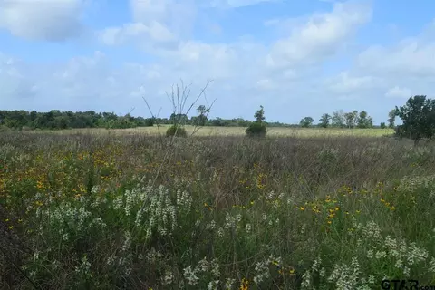 tbd Fm 1256, Eustace, TX 75124 photo 30