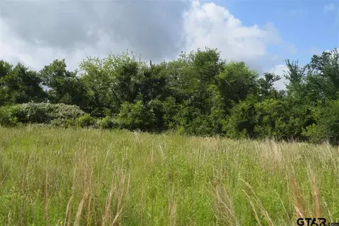 tbd Fm 1256, Eustace, TX 75124 photo 35
