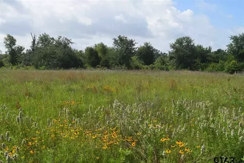 tbd Fm 1256, Eustace, TX 75124 photo 17