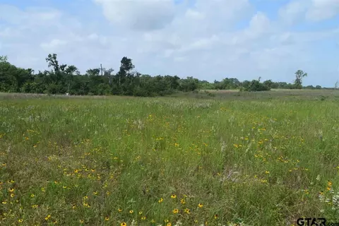 tbd Fm 1256, Eustace, TX 75124 photo 8