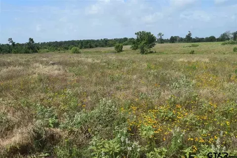 tbd Fm 1256, Eustace, TX 75124 photo 27