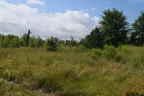 tbd Fm 1256, Eustace, TX 75124 photo 45
