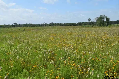 tbd Fm 1256, Eustace, TX 75124 photo 20