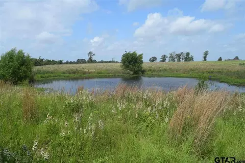 tbd Fm 1256, Eustace, TX 75124 photo 1