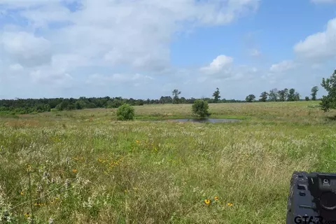 tbd Fm 1256, Eustace, TX 75124 photo 13