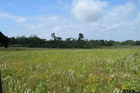 tbd Fm 1256, Eustace, TX 75124 photo 7