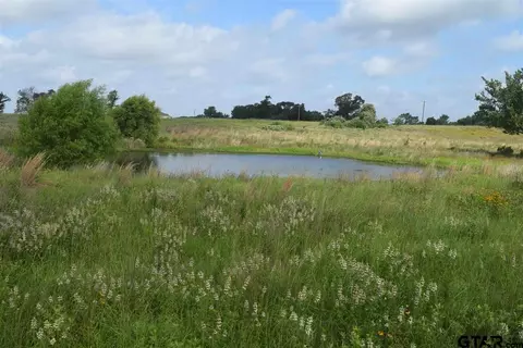tbd Fm 1256, Eustace, TX 75124 photo 2