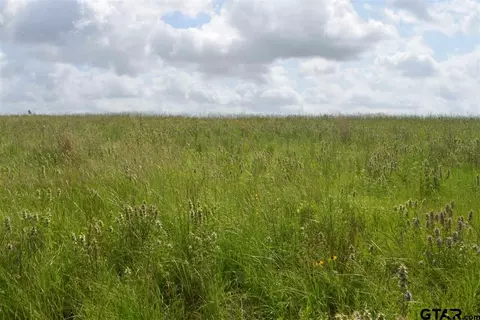 tbd Fm 1256, Eustace, TX 75124 photo 36