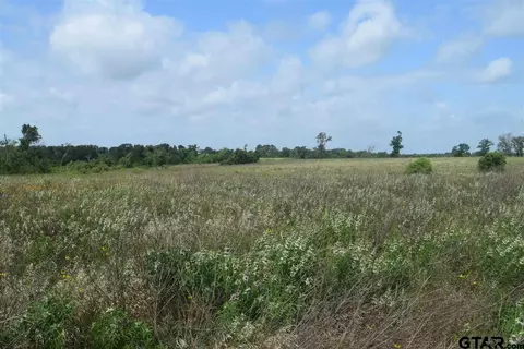 tbd Fm 1256, Eustace, TX 75124 photo 6