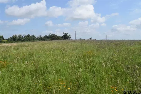 tbd Fm 1256, Eustace, TX 75124 photo 3
