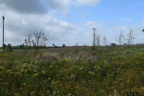 tbd Fm 1256, Eustace, TX 75124 photo 28
