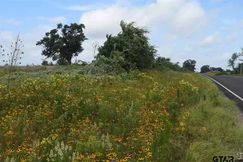 tbd Fm 1256, Eustace, TX 75124 photo 29