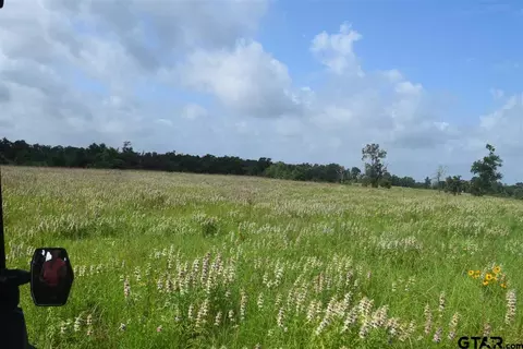 tbd Fm 1256, Eustace, TX 75124 photo 37