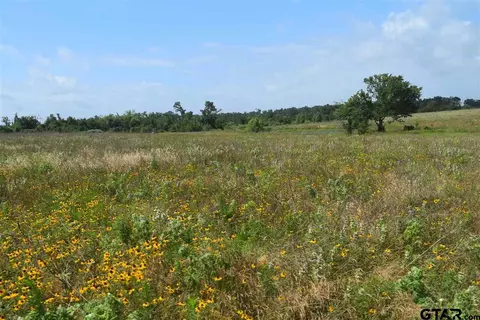tbd Fm 1256, Eustace, TX 75124 photo 25