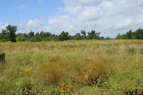 tbd Fm 1256, Eustace, TX 75124 photo 16