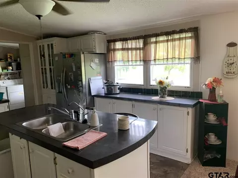 376 Comanche, Quitman, TX 75783 photo 5