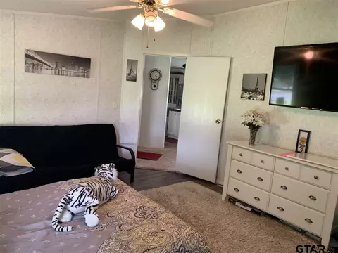 376 Comanche, Quitman, TX 75783 photo 8