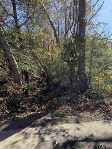 tbd Cr 472 I20, Lindale, TX 75771