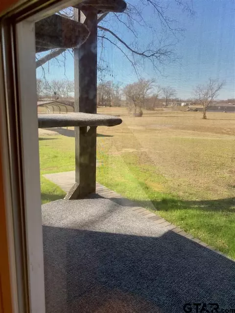 891 Comanche, Quitman, TX 75783 photo 25