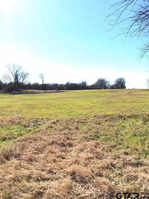 9305 S Fm 69, Como, TX 75431 photo 32