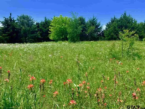 tbd County Road 1105, Celeste, TX 75423 photo 2