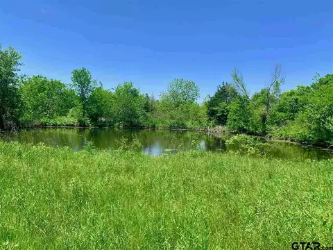 tbd County Road 1105, Celeste, TX 75423 photo 5