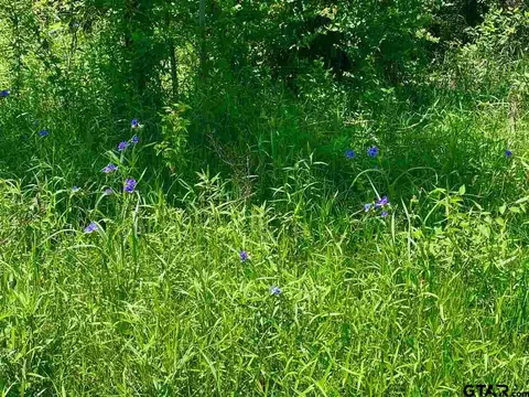 tbd County Road 1105, Celeste, TX 75423 photo 14