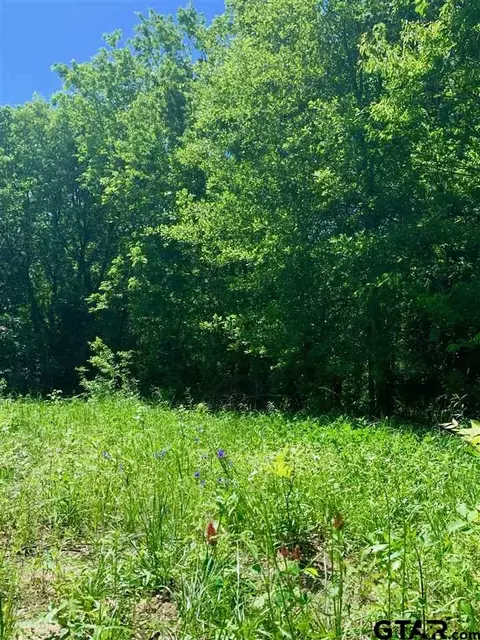 tbd County Road 1105, Celeste, TX 75423 photo 13