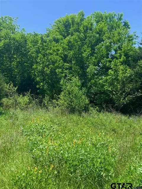 tbd County Road 1105, Celeste, TX 75423 photo 7