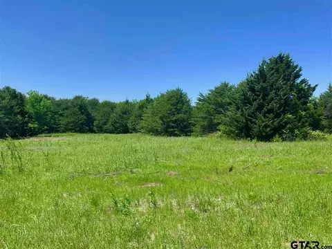 tbd County Road 1105, Celeste, TX 75423 photo 9