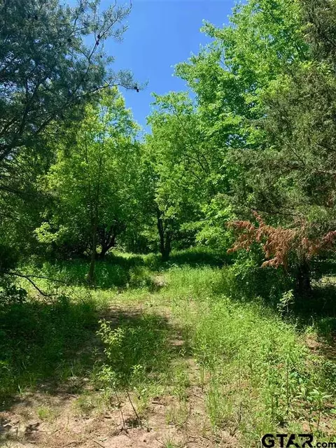 tbd County Road 1105, Celeste, TX 75423 photo 11