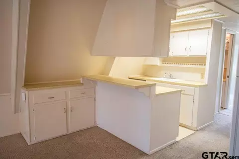 250 Hide Away Ln E, Hideaway, TX 75771 photo 20